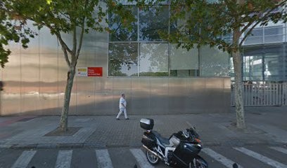 Ilustre Colegio de Abogados de Ciudad Real