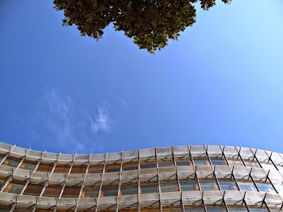 Juan Pedro Arraiza Salgado