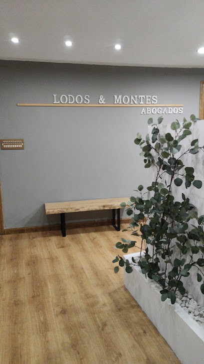 LODOS & MONTES ABOGADOS