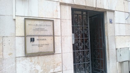 MOLLÀ RUDIEZ & OLIVA SAP