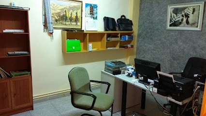 MSH GLOBAL SERVICES مكتب خدمات عامة، اختصاص الهجرة والجنسية.
