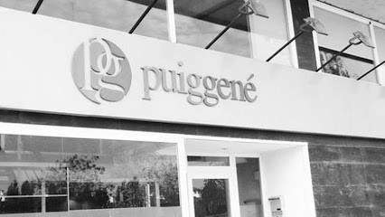 Puiggené Assessors